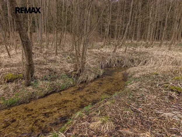 Prodej pozemku pro bydlení, Červená Voda, 1100 m2