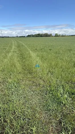 Prodej pole, Františkovy Lázně - Horní Lomany, Americká, 584 m2
