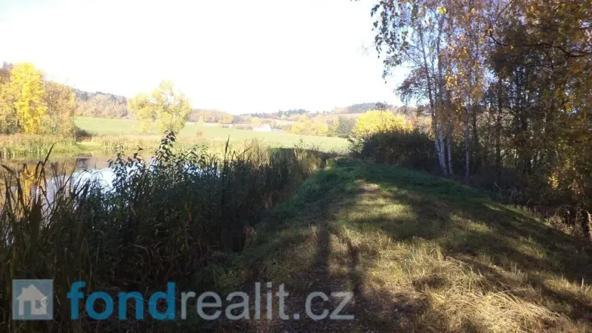 Prodej pozemku, Borovná, 1225 m2