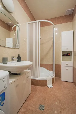 Prodej bytu 3+kk, Praha - Vinohrady, Balbínova, 72 m2