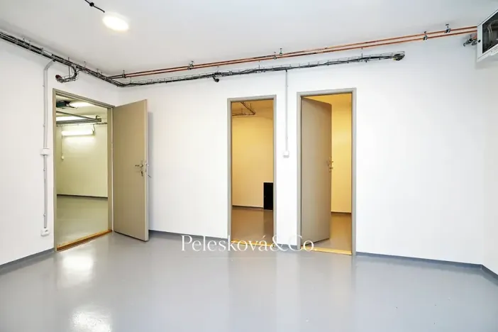 Pronájem rodinného domu, Praha - Braník, V malých domech I, 300 m2