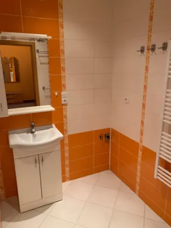 Pronájem bytu 2+1, Ústí nad Labem, Masarykova, 82 m2