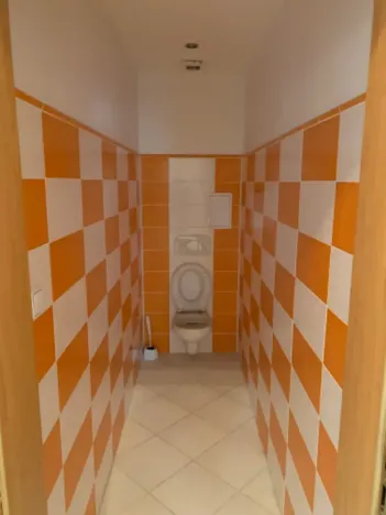 Pronájem bytu 2+1, Ústí nad Labem, Masarykova, 82 m2