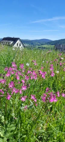 Prodej pozemku pro bydlení, Červená Voda, 1251 m2