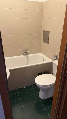 Pronájem bytu 1+kk, Praha - Nové Město, Navrátilova, 22 m2