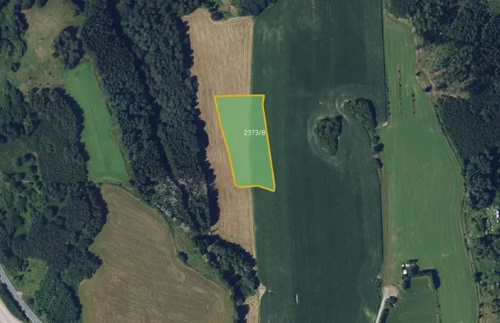Prodej louky, Bystřice nad Pernštejnem, 26474 m2