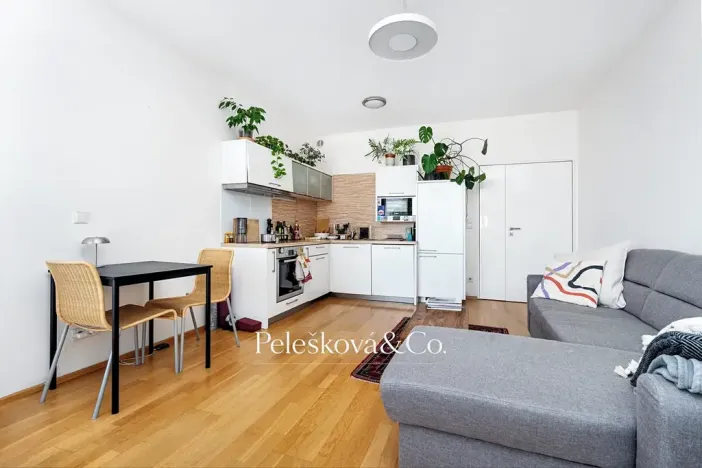 Prodej bytu 2+kk, Praha - Smíchov, Švédská, 54 m2