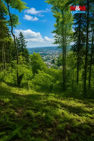 Prodej lesa, Semily, 1939 m2