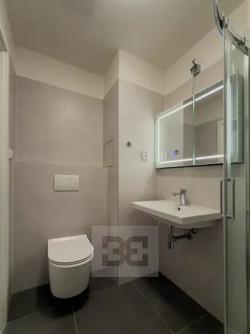 Pronájem bytu 1+kk, Český Brod, Langova, 27 m2