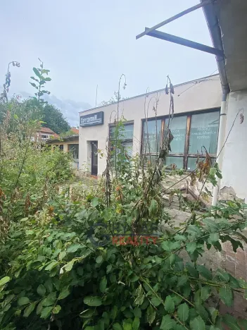 Prodej obchodního prostoru, Kolín, Kouřimská, 1055 m2
