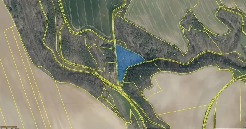 Dražba lesa, Snědovice, 8141 m2