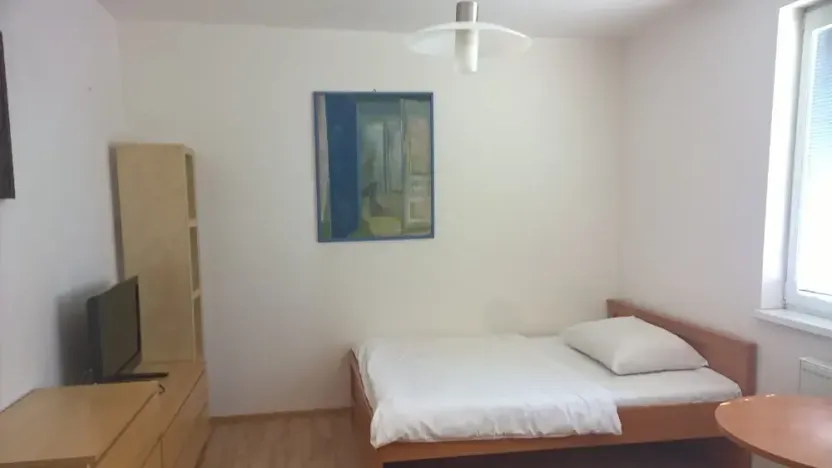 Prodej bytu 1+kk, Praha - Vysočany, Freyova, 23 m2