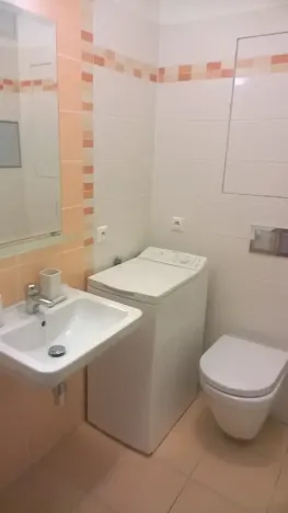 Prodej bytu 1+kk, Praha - Vysočany, Freyova, 23 m2