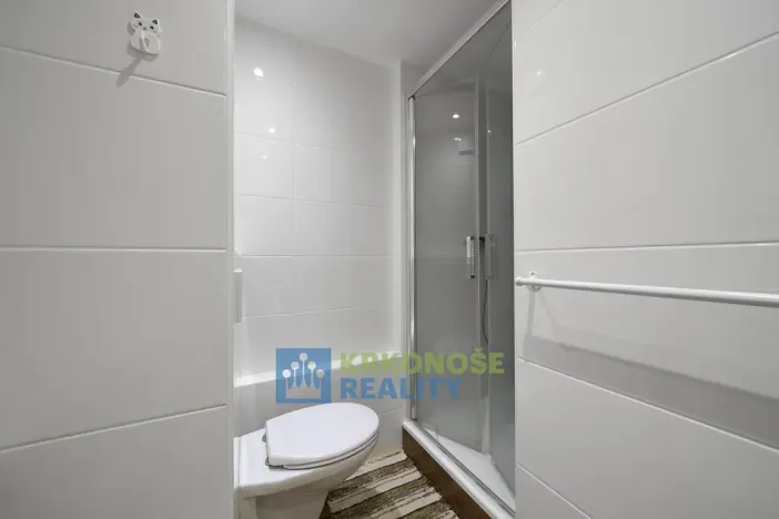 Prodej bytu 1+kk, Trutnov - Horní Staré Město, Za Komínem, 32 m2