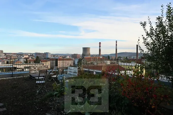 Pronájem bytu 1+kk, Brno, 40 m2