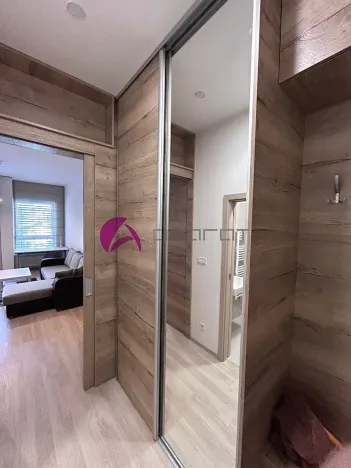 Pronájem bytu 1+kk, Olomouc, Wolkerova, 30 m2