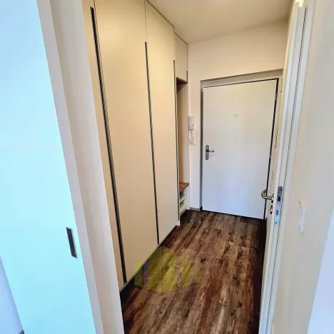 Pronájem bytu 1+kk, Olomouc, Wolkerova, 34 m2