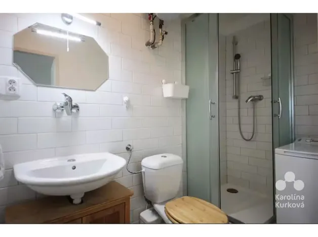 Pronájem bytu 1+kk, Praha - Karlín, Šaldova, 25 m2