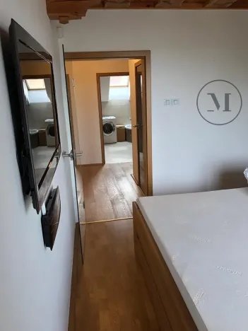 Pronájem bytu 3+kk, České Budějovice, Branišovská, 140 m2