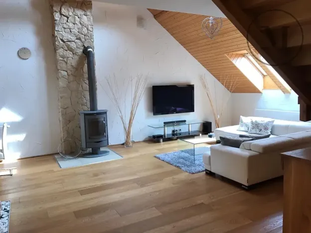 Pronájem bytu 3+kk, České Budějovice, Branišovská, 140 m2