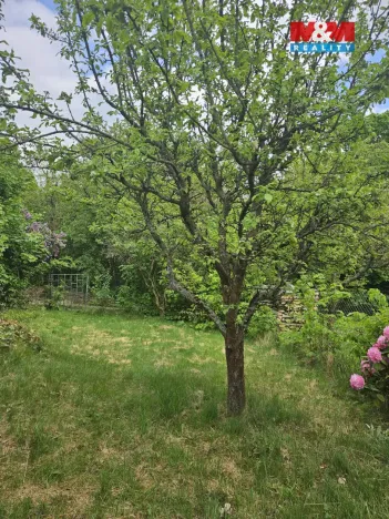 Prodej zahrady, Šternberk, 401 m2