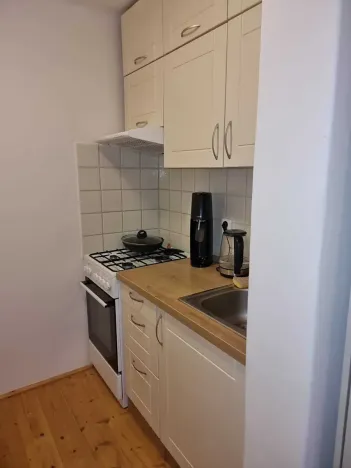 Pronájem bytu 1+kk, Liberec, Puchmajerova, 25 m2