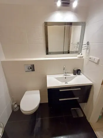 Pronájem bytu 1+kk, Praha - Podolí, Brabcova, 44 m2