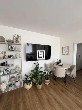 Pronájem bytu 2+kk, Olomouc, Aloise Rašína, 50 m2