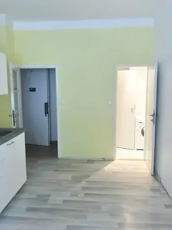 Pronájem bytu 1+1, Praha, V předpolí, 43 m2
