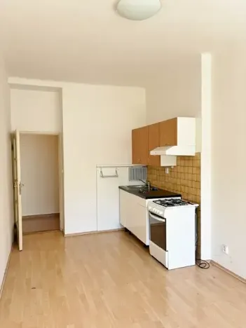 Pronájem bytu 1+1, Praha, V předpolí, 50 m2