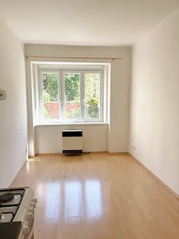 Pronájem bytu 1+1, Praha, V předpolí, 50 m2