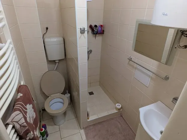 Pronájem bytu 1+1, Opava, Těšínská, 50 m2