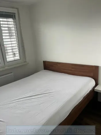 Pronájem pokoje, Praha - Řepy, 20 m2