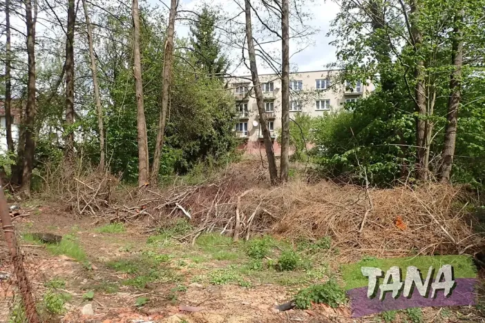 Prodej pozemku pro bydlení, Mladějov, 2297 m2