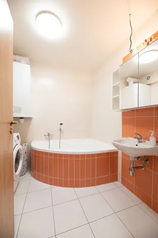 Prodej bytu 1+kk, Vranovice, Nad Dolinami, 48 m2
