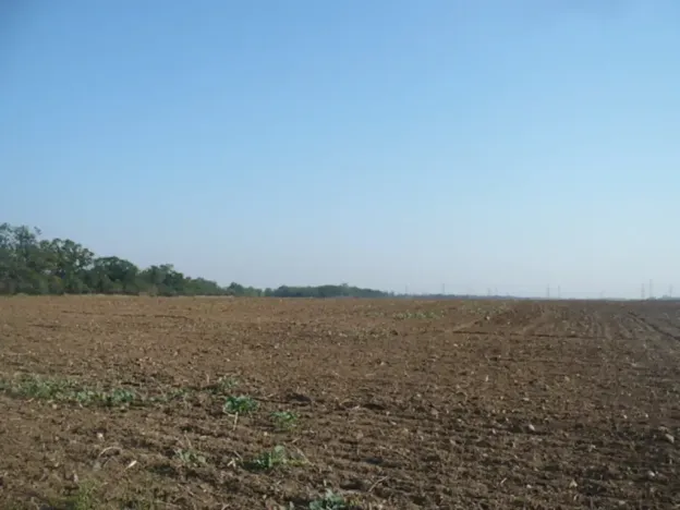 Prodej komerčního pozemku, Veltrusy, 3681 m2