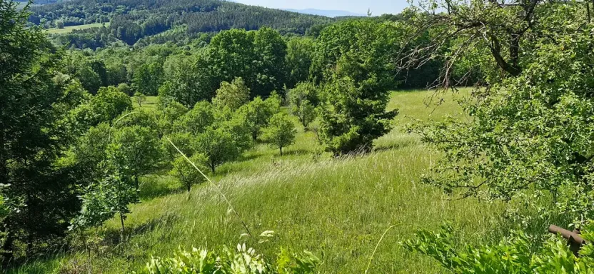 Prodej pozemku pro bydlení, Luhačovice, 17000 m2