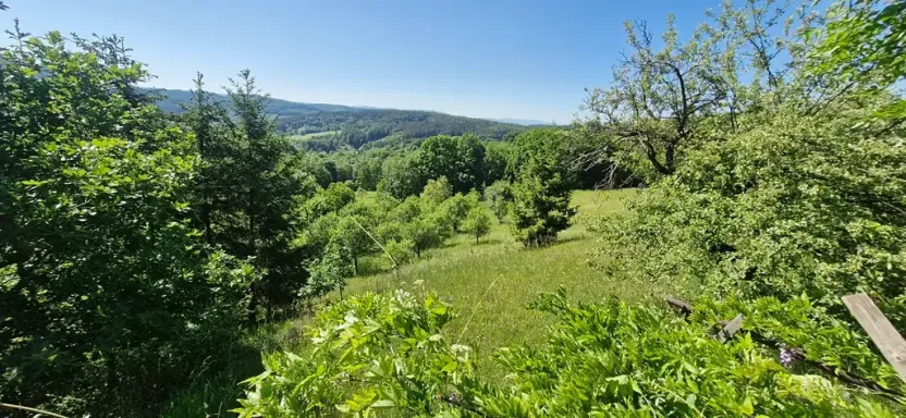 Prodej pozemku pro bydlení, Luhačovice, 17000 m2
