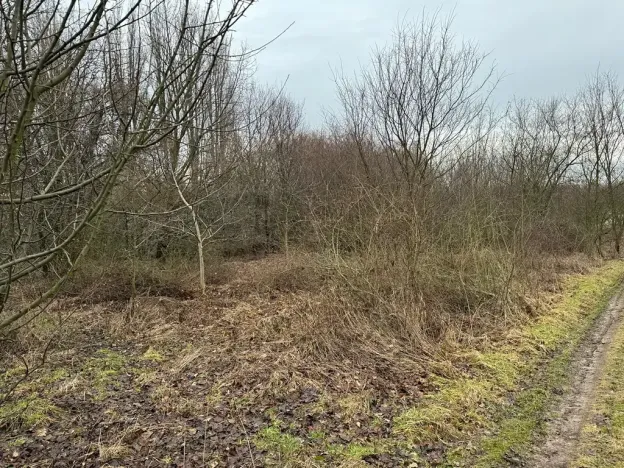 Prodej zahrady, Bechlín, 630 m2