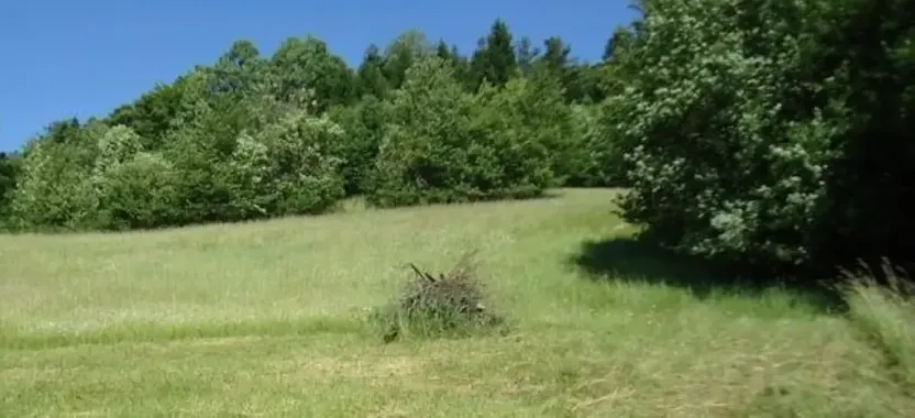 Prodej louky, Vojnův Městec, 9000 m2