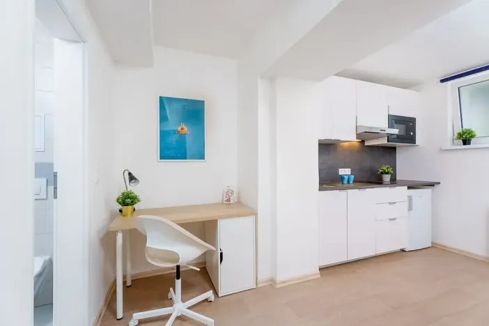 Prodej bytu 1+kk, Praha - Krč, Čerčanská, 20 m2