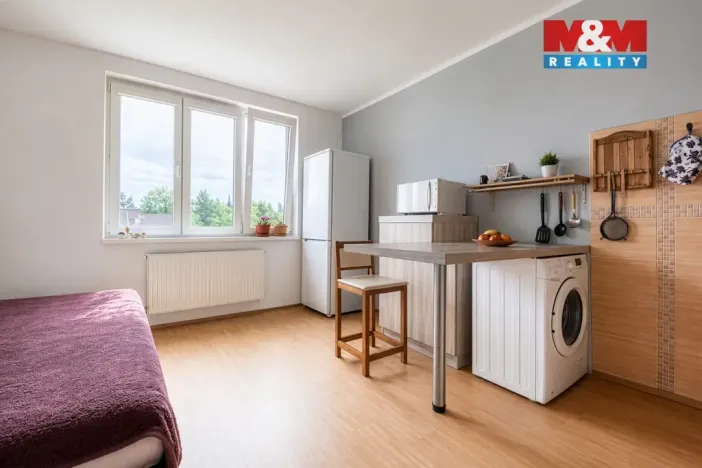 Prodej bytu 1+1, Cheb, Boženy Němcové, 36 m2