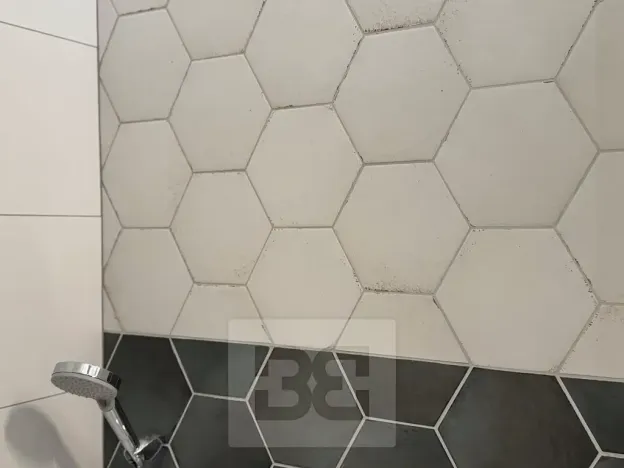 Pronájem bytu 3+kk, Brno, Opuštěná, 72 m2