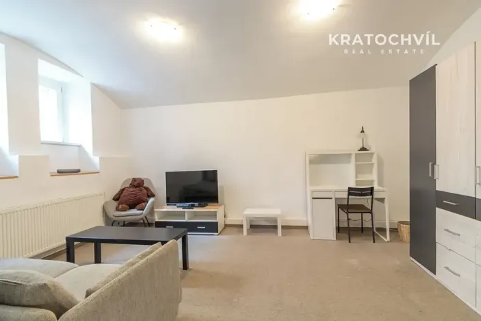Prodej bytu 1+kk, Praha - Karlín, Březinova, 50 m2