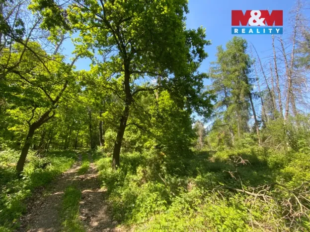 Prodej lesa, Kropáčova Vrutice - Sušno, 15167 m2