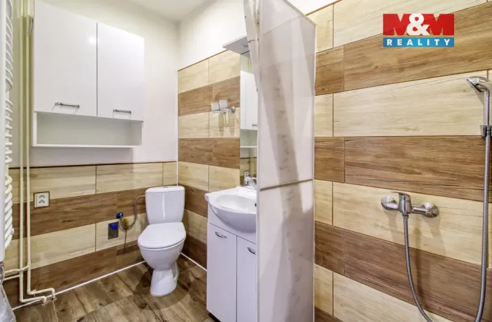 Prodej rodinného domu, Chomutov, Palachova, 252 m2