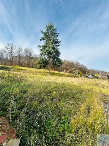 Prodej pozemku pro bydlení, Krnov, 1311 m2