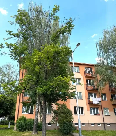 Prodej bytu 3+kk, Ostrava - Poruba, Gen. Sochora, 61 m2