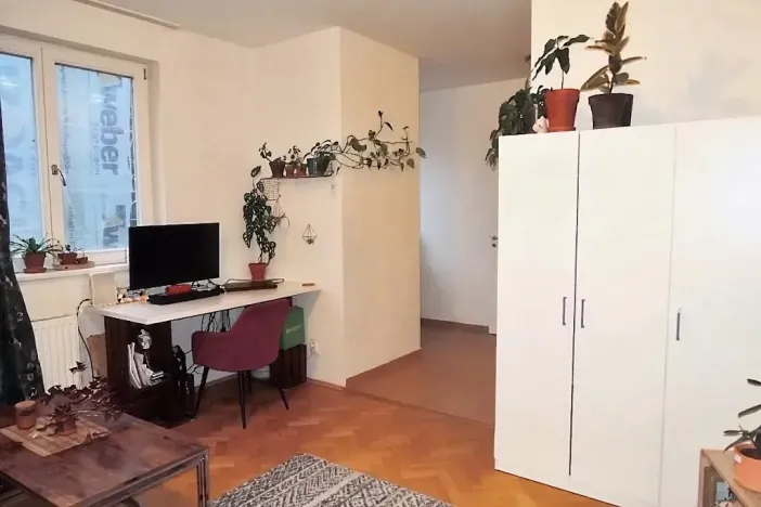 Pronájem bytu 1+kk, Brno, Příční, 42 m2