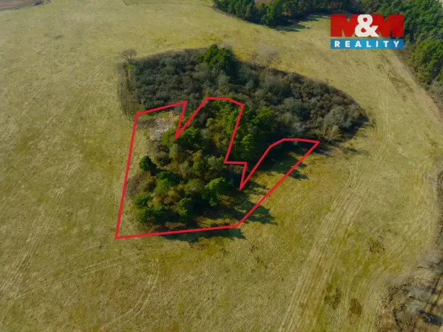 Prodej zahrady, Kladruby - Vrbice u Stříbra, 15633 m2